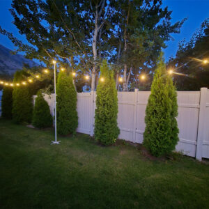 String Lights Poles
