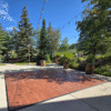 dark maple dance floor