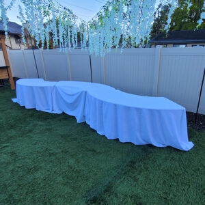 Serpentine Table
