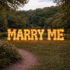 marry me letter sign