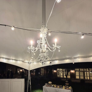 4 Arm Medium Chandelier